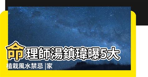 九重葛禁忌|如何按照風水來擺設九重葛？（特徵、方位、共同擺設的植物）